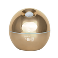 Elegant Gold Diffuser & Humidifier – 130 ml