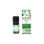 Certified Organic Spearmint Essential Oil, 10ml