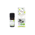 Organic Niaouli Essential Oil, 10ml