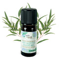 Organic Eucalyptus radiata essential oil, 10ml