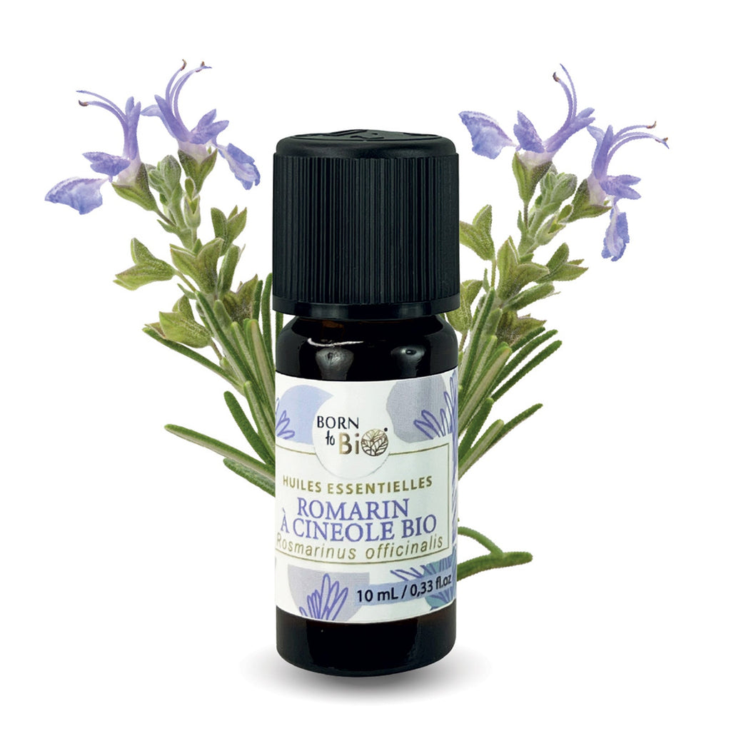 Organic Rosemary Cineole Essential Oil, 10ml