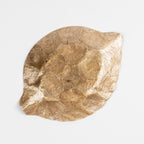 Small Leaf Dish - Golden Capiz