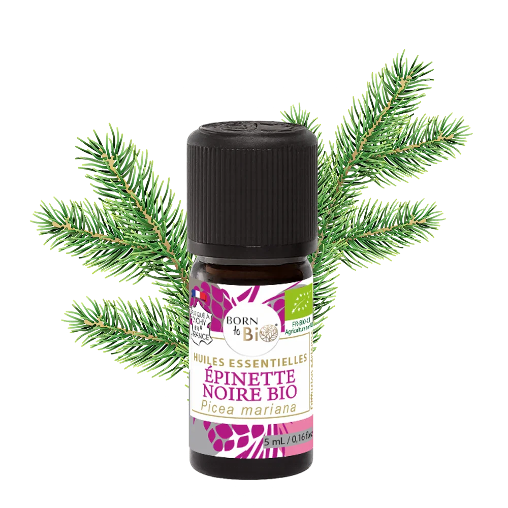 Organic Black Spruce Essential Oil, 5ml