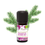 Organic Black Spruce Essential Oil, 5ml