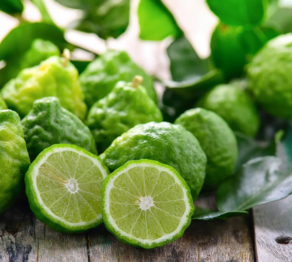 Organic Bergamot Essential Oil, 5ml